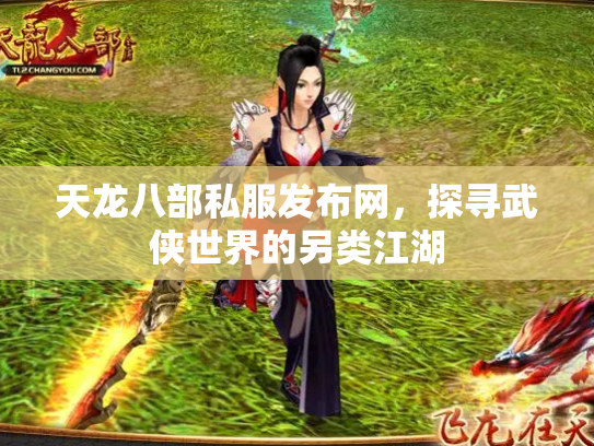 天龙八部私服发布网，探寻武侠世界的另类江湖