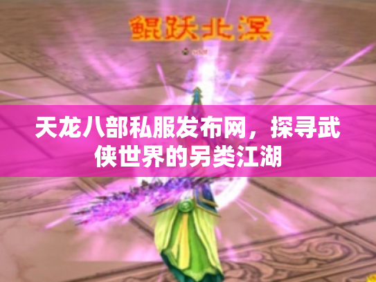 天龙八部私服发布网，探寻武侠世界的另类江湖