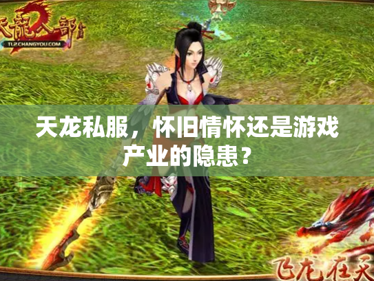 天龙私服，怀旧情怀还是游戏产业的隐患？
