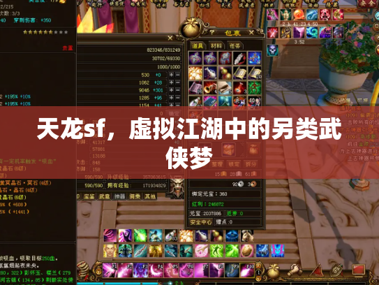 天龙sf，虚拟江湖中的另类武侠梦