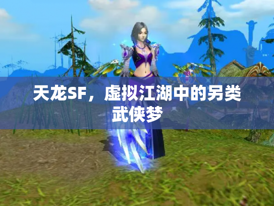 天龙SF，虚拟江湖中的另类武侠梦
