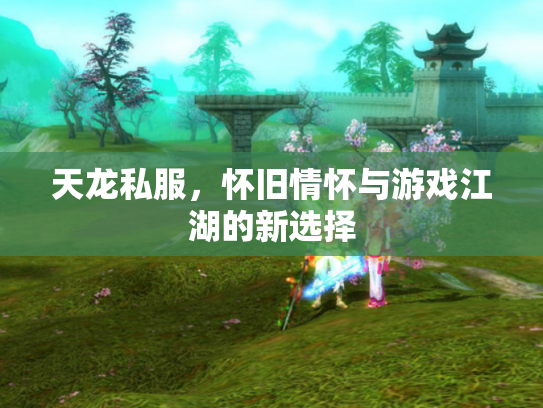 天龙私服，怀旧情怀与游戏江湖的新选择