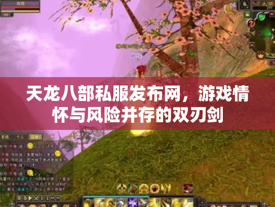 天龙八部私服发布网，游戏情怀与风险并存的双刃剑