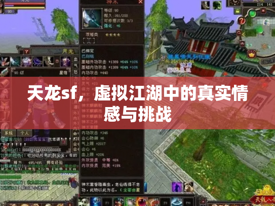 天龙sf，虚拟江湖中的真实情感与挑战