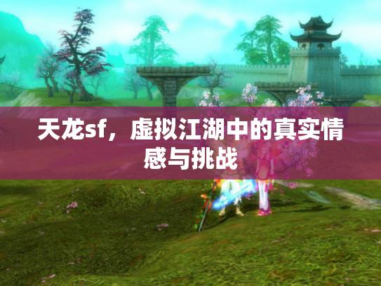 天龙sf，虚拟江湖中的真实情感与挑战