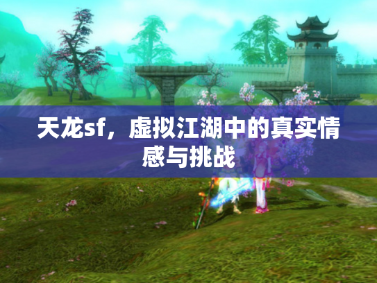 天龙sf，虚拟江湖中的真实情感与挑战