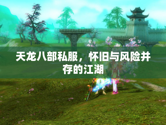 天龙八部私服，怀旧与风险并存的江湖