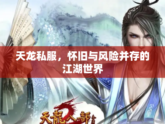 天龙私服，怀旧与风险并存的江湖世界