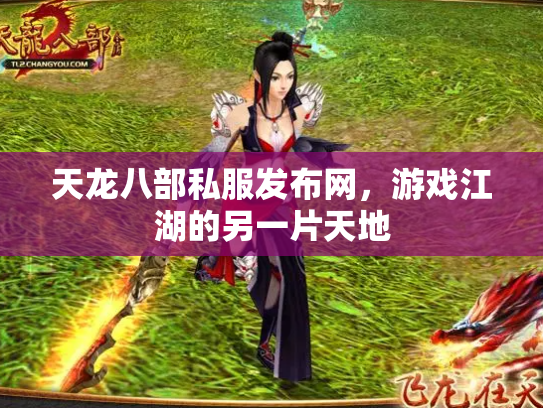 天龙八部私服发布网，游戏江湖的另一片天地
