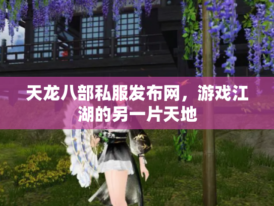 天龙八部私服发布网，游戏江湖的另一片天地
