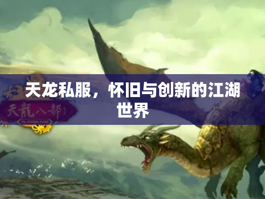 天龙私服，怀旧与创新的江湖世界