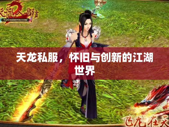 天龙私服，怀旧与创新的江湖世界