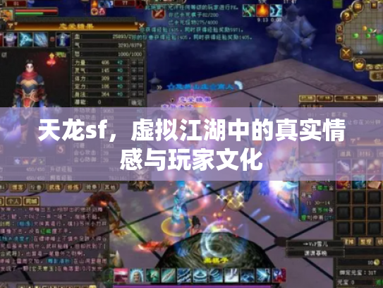 天龙sf，虚拟江湖中的真实情感与玩家文化
