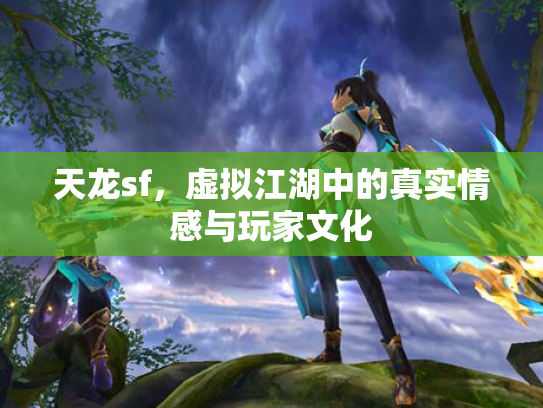 天龙sf，虚拟江湖中的真实情感与玩家文化
