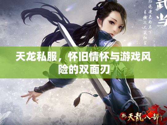 天龙私服，怀旧情怀与游戏风险的双面刃
