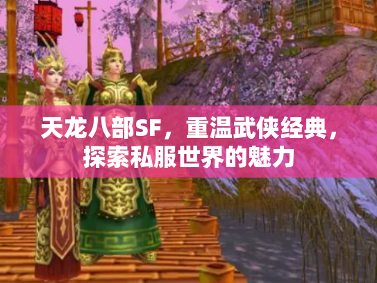 天龙八部SF，重温武侠经典，探索私服世界的魅力