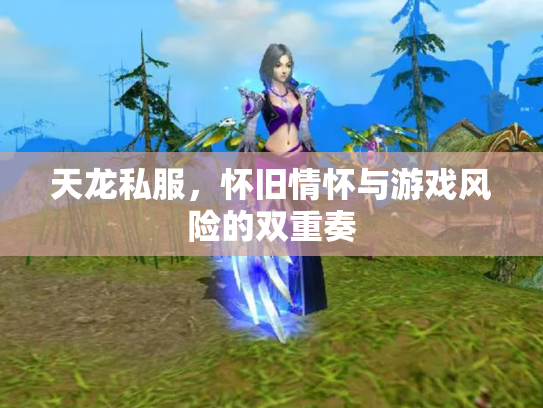 天龙私服，怀旧情怀与游戏风险的双重奏