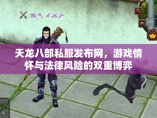 天龙八部私服发布网，游戏情怀与法律风险的双重博弈