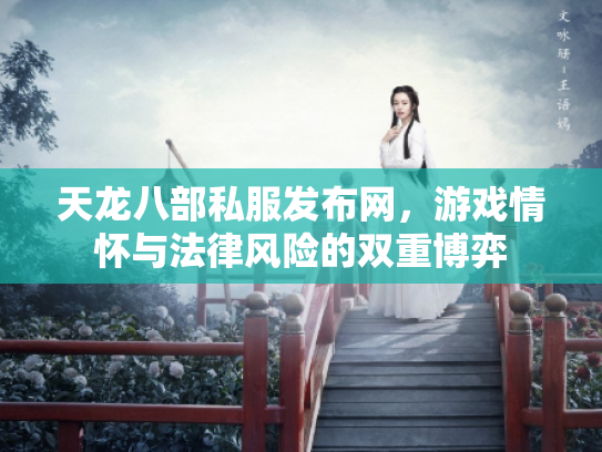 天龙八部私服发布网，游戏情怀与法律风险的双重博弈