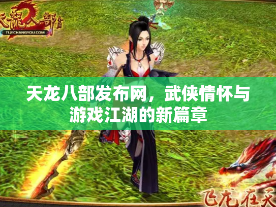 天龙八部发布网，武侠情怀与游戏江湖的新篇章