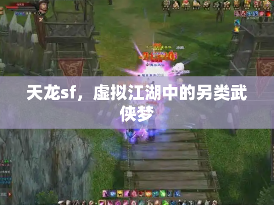 天龙sf，虚拟江湖中的另类武侠梦