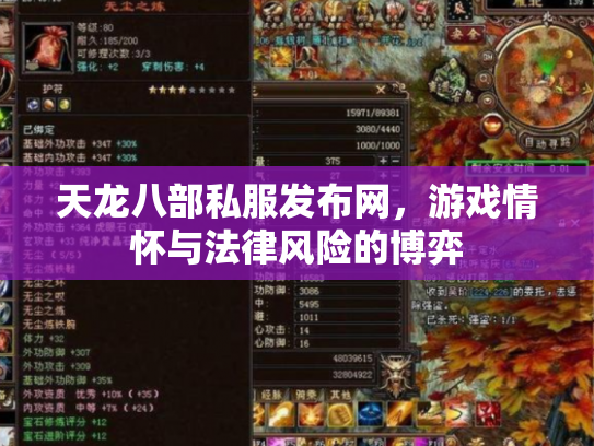 天龙八部私服发布网，游戏情怀与法律风险的博弈