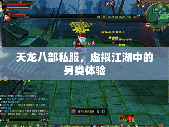 天龙八部私服，虚拟江湖中的另类体验