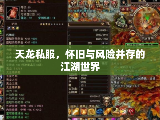 天龙私服，怀旧与风险并存的江湖世界