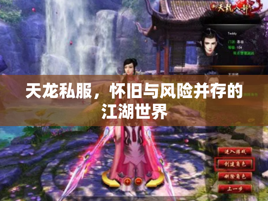 天龙私服，怀旧与风险并存的江湖世界