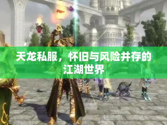 天龙私服，怀旧与风险并存的江湖世界