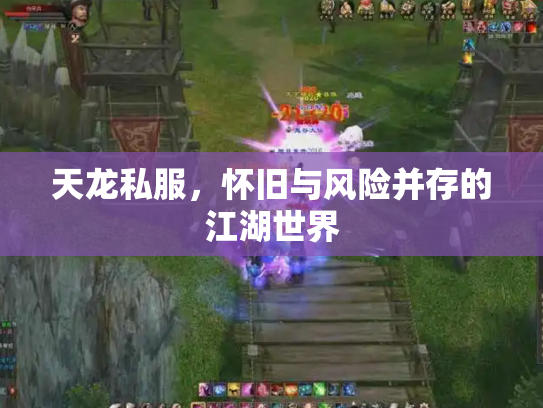 天龙私服，怀旧与风险并存的江湖世界