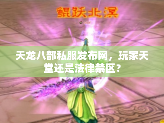 天龙八部私服发布网，玩家天堂还是法律禁区？