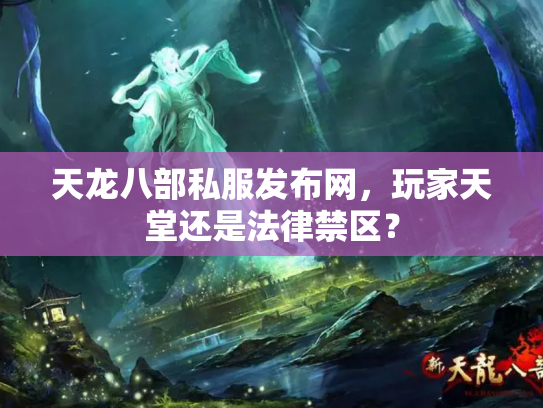 天龙八部私服发布网，玩家天堂还是法律禁区？