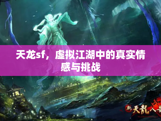 天龙sf，虚拟江湖中的真实情感与挑战