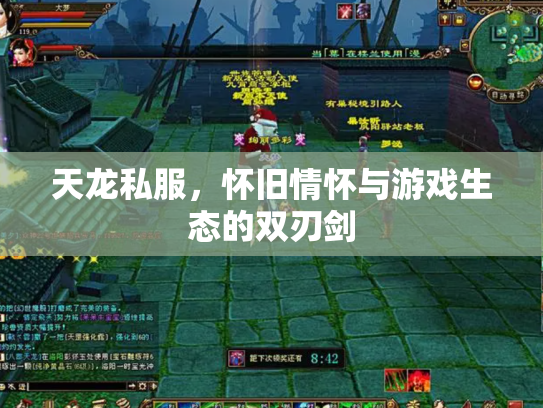 天龙私服，怀旧情怀与游戏生态的双刃剑