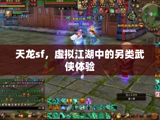 天龙sf，虚拟江湖中的另类武侠体验