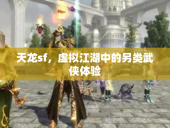 天龙sf，虚拟江湖中的另类武侠体验