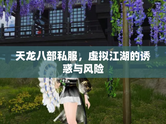 天龙八部私服，虚拟江湖的诱惑与风险
