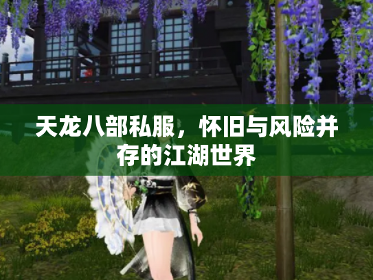 天龙八部私服，怀旧与风险并存的江湖世界