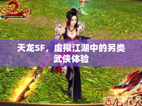 天龙SF，虚拟江湖中的另类武侠体验