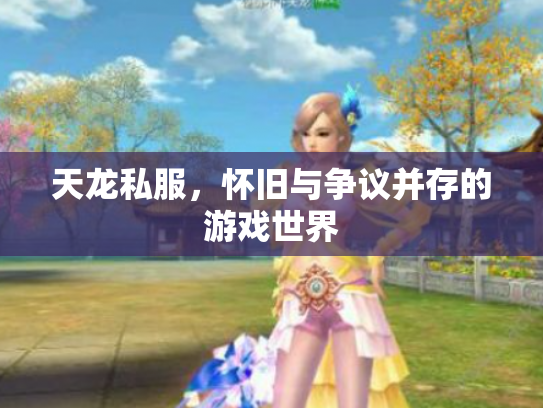 天龙私服，怀旧与争议并存的游戏世界