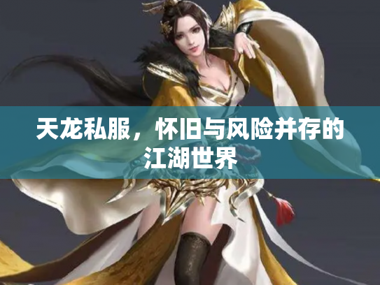 天龙私服，怀旧与风险并存的江湖世界