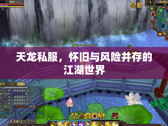 天龙私服，怀旧与风险并存的江湖世界