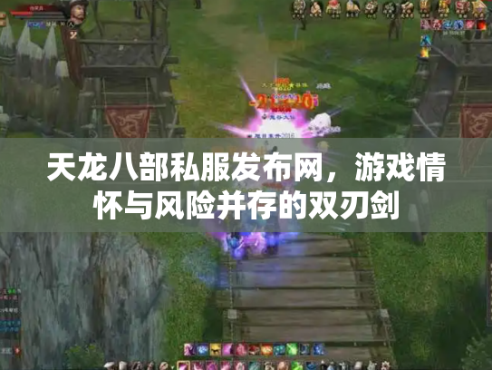 天龙八部私服发布网，游戏情怀与风险并存的双刃剑
