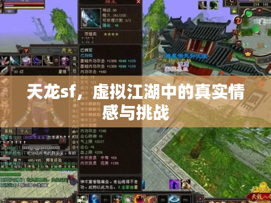 天龙sf，虚拟江湖中的真实情感与挑战