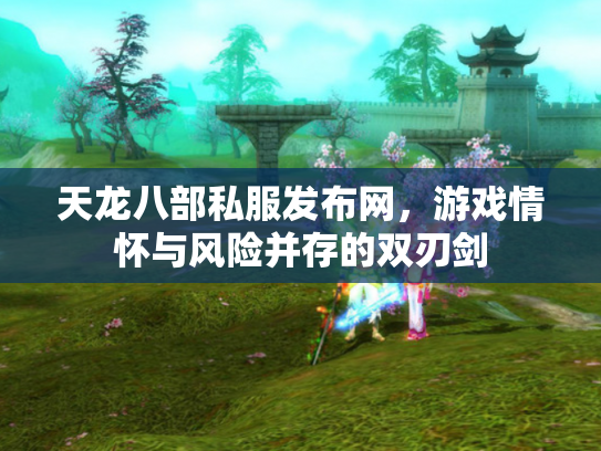 天龙八部私服发布网，游戏情怀与风险并存的双刃剑