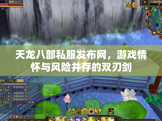 天龙八部私服发布网，游戏情怀与风险并存的双刃剑