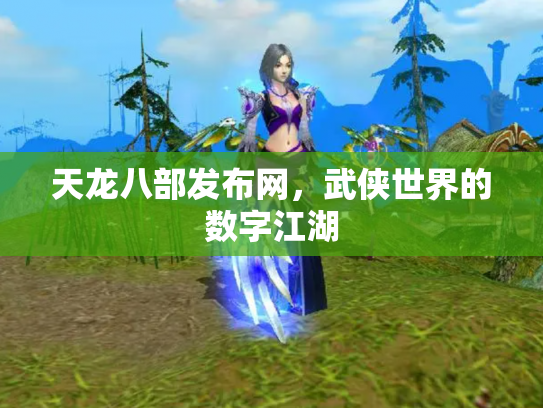 天龙八部发布网，武侠世界的数字江湖