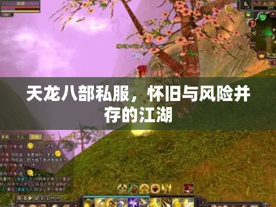 天龙八部私服，怀旧与风险并存的江湖