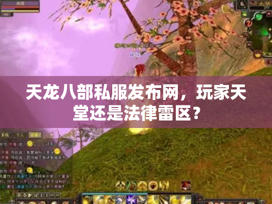 天龙八部私服发布网，玩家天堂还是法律雷区？